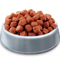 Köpek Maması