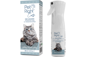 PET RİGHT CATS