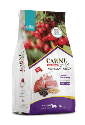 Carni Life Cranberry Ancestral Grain Kedi Kuzu & Böğürtlen Yetişkin 1.5 Kg