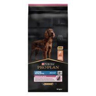 Adult Large Athletic Somonlu Kuru Köpek Maması 14 kg