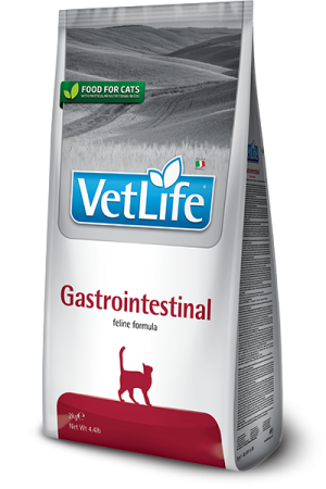 VETLIFE GASTROINTESTINAL KEDI 10KG