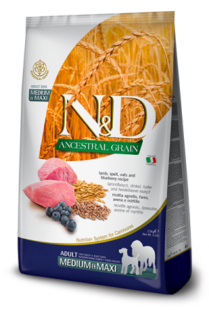 N&D ANCESTRAL GRAİN LAMB & BLUEBERRY ADULT MEDIUM & MAXI KÖPEK MAMASI 12K
