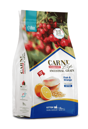 Carni Life Cranberry Ancestral Grain Kedi Balık & Portakal Kitten 1.5 Kg