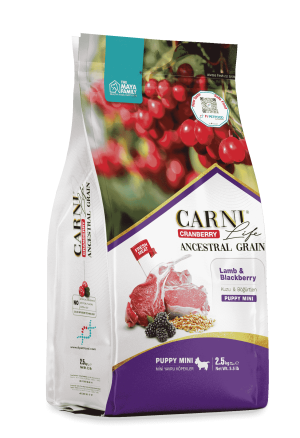 Carni Life Cranberry Ancestral Grain Köpek Kuzu & Böğürtlen Puppy Mini 2.5 Kg