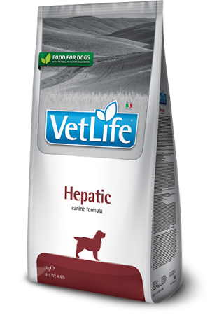 VETLİFE HEPATIC KÖPEK  MAMASI 12KG