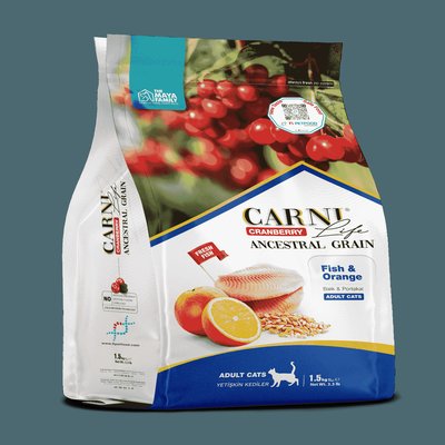 BALIK & PORTAKAL YETİŞKİN 5KG