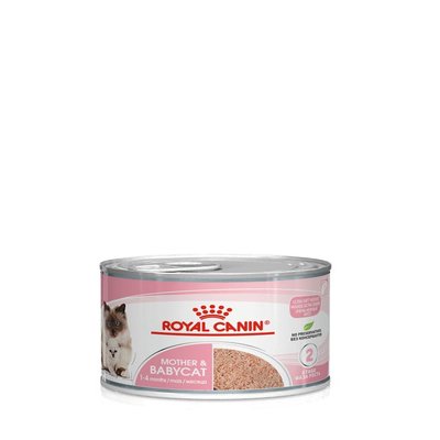 MOTHER AND BABYCAT ULTRA SOFT MOUSSE 1 x 195GR MOTHER AND BABYCAT ULTRA SOFT MOUSSE 1 x 195GR