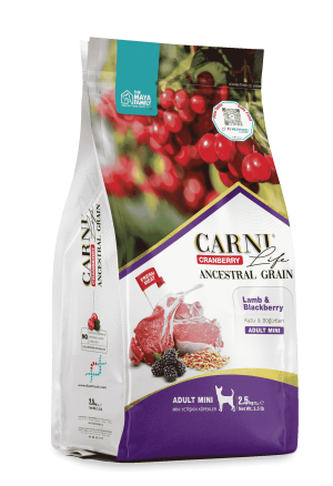 Carni Lıife Cranberry Ancestral Grain Köpek Kuzu & Böğürtlen Yetişkin Mini 2.5 Kg