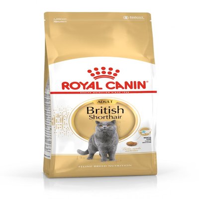 BRITISH SHORTHAIR ADULT 4KG