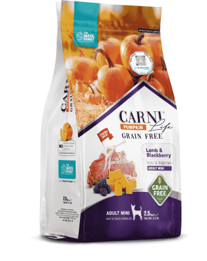 Carni Life Pumpkin Tahılsız Köpek Kuzu & Böğürtlen Yetişkin Mini 2.5 Kg