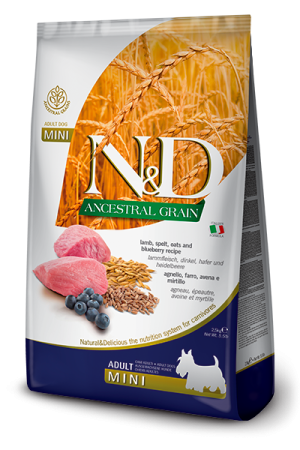 N&D Ancestral Grain Dog Lamb, Spelt, Oats & Blueberry Adult Mini 2,5 Kg