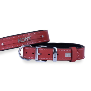 Doggie İsimlikli Deri Köpek Tasması 3x42-50cm Kırmızı