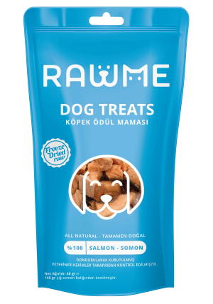 Rawme Köpek Somon 40 Gr